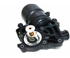 Porsche Cayenne E2 Alynas Filtras Originalus 95810701032