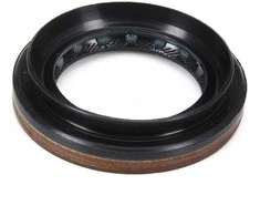 Renault Grand Scenic III Megane III Koleos I Master III Guoliu Apsauga Originalus 383421561R