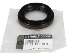 Renault Grand Scenic III Megane III Koleos I Master III Guoliu Apsauga Originalus 383421561R