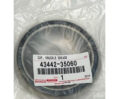 Toyota KAP Kelio Tepalas FJ Cruiser 4Runner Originalus 4344235060