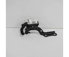 Toyota LEXUS CT A10 200h Priekinis Dešinysis Gaubto Vyriukas 53410-76030 2013 Naujas Originalus