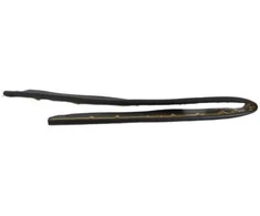 "Toyota Scion tC" 2011-2013 Scion variklio dangčio ir grotelių sandariklis Originalus 5339521020