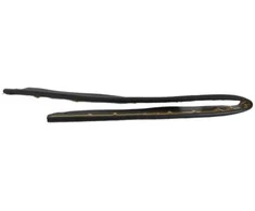 "Toyota Scion tC" 2011-2013 Scion variklio dangčio ir grotelių sandariklis Originalus 5339521020