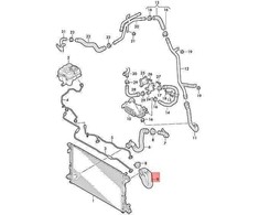 VAG AUDI VW aušinimo skysčio žarnelė su greito atjungimo jungtimi originali 4M0122101DR