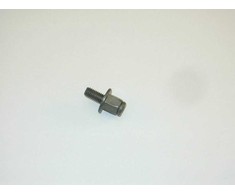 VAG AUDI VW SKODA Aklosios kniedės smeigė M6X14 N90814402 Originali