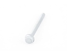 VAG Hex Collared Bolt N10699501