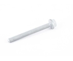 VAG Hex Collared Bolt N10699501