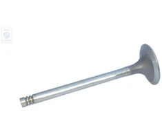 Vag Išmetimo Vožtuvas T2 T3 Vw 411 Originalus 022109612D