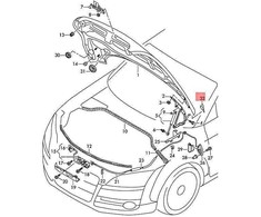 VAG Kampuolio Danga Audi TT TTRS 2007 2014 Originalus 8J0823125B