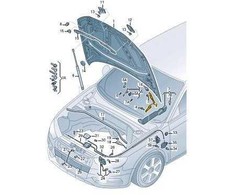 VAG Originali Audi A3/S3 13-> Priekinis gaubto kairysis dangtelio vyris 8V0823301G