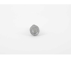 VAG Originalus VW Volkswagen stabdžių kaliperio galinės laikiklio tvirtinimo varžtas NAUJAS N91168901