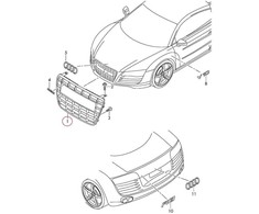 Vag Radiatoriaus Grotelės Blizgus Juodas Audi R8 2007 2012 Originalus 420853651CHHI