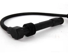 VAG Ugnies Uždegimo Cilindras 1 Audi A4 A6 A8 1995-2006 Originalus 078905531B