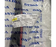 "Volvo S80" galinių durų oro juostelė Originali 30649297