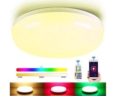 24W RGB LED šviestuvas su nuotoliniu valdymu 2700-6500K Dimeriuojamas
