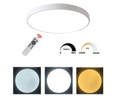 48W Dimeriuojamas lubinis LED šviestuvas baltas D450mm