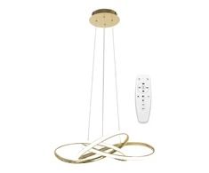 70W 3000-6000K LED Šviestuvas Aukso spalvos su nuotolinio valdymo pulteliu