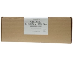 Tipson Anassa - herbatka ziołowa Lemon Verbena 90 saszetek