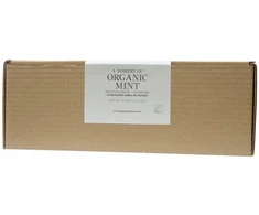Anassa - Organic Mint - 90 Tea Bags