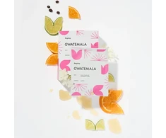 Bagdrip - Guatemala Box - 8 Sachets 11 g