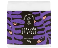 Bracia Ziółkowscy - Costa Rica Corazon de Jesus Anaerobic Natural Espresso 250 g