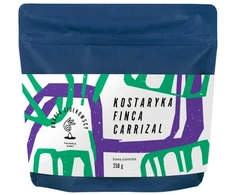 Bracia Ziółkowscy - Costa Rica Finca Carrizal Juodas Honey Filter 250 g