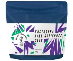 Bracia Ziółkowscy - Costa Rica Ivan Gutiérrez SL28 Honey Filter 150 g