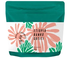 Bracia Ziółkowscy - Ethiopia Banko Gotiti Washed Filter 250 g