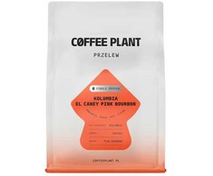 Coffee Plant KAVOS AUGALAS - Kolumbija Miriam Quesada rausvasis burbonas natūralus filtras 250 g