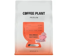 COFFEE PLANT - Colombia Gaitania Summer Everywhere Natural Filter 250 g