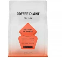 COFFEE PLANT - Costa Rica La Promesa Natural Filter 250 g