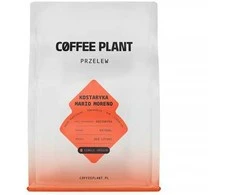 Kavos pupelės Coffee Plant kawa ziarnista Kostaryka Mario Moreno Naturalny filtras 250 g
