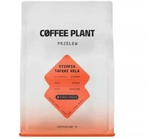 Coffee Plant KAVOS AUGALAS - Etiopijos išplautas filtras 250 g