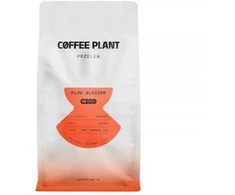 COFFEE PLANT - FLOW Blossom Filter 800g