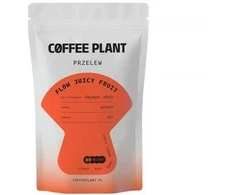 Coffee Plant KAVOS AUGALAS - Flow Juicy Fruit filtras 100g