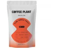 COFFEE PLANT - FLOW Jungle Fruit Filter 100g