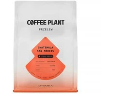 Story Coffee Roasters Coffee Plant KAVOS AUGALAS - Gvatemala San Marcos plautas filtras 250g