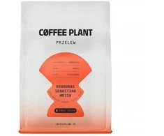 Coffee Plant KAVOS AUGALAS - Hondūras Sebastian Mejia medaus filtras 250 g