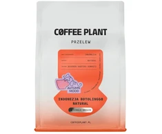 COFFEE PLANT - Indonesia Botolinggo Autumn Mood Natural Filter 250 g