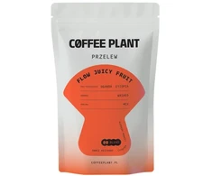 Coffee Plant KAVOS AUGALAS - Flow Juicy Fruit filtras 100g
