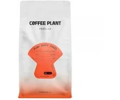 Coffee Plant KAVOS AUGALAS - FLOW Juicy Fruit Filter 800g