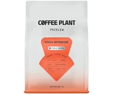 COFFEE PLANT - Kenya Muthuaini Washed Filter 250 g