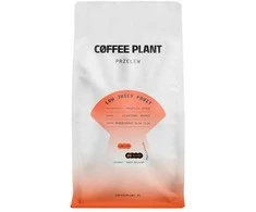 COFFEE PLANT - LOW Juicy Fruit Filter 800g