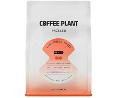 COFFEE PLANT - LOW Jungle Fruit Filter 250 g
