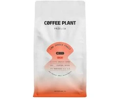 COFFEE PLANT - LOW Jungle Fruit Filter 800g