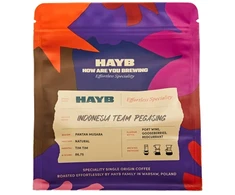 HAYB - Indonesia Team Pegasing Natural Filter 250 g
