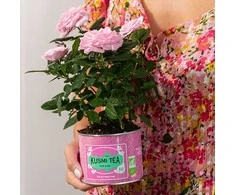 Brown House Tea Kusmi Tea - Žalias Rose Bio - Loose Tea 100g