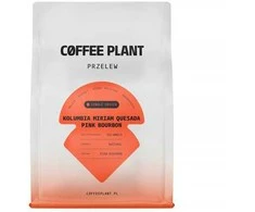 Coffee Plant KAVOS AUGALAS - Kolumbija Miriam Quesada rausvasis burbonas natūralus filtras 250 g