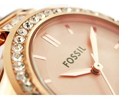 Laikrodis Damski FOSSIL Karli BQ3181 + BOX