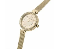 Laikrodis PAUL LORENS WOMEN'S WATCH - PL10995B-4D1 (zg546d) + BOX